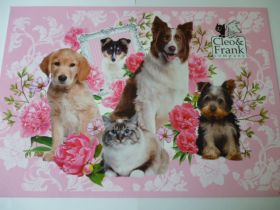 Alátét (több féle)