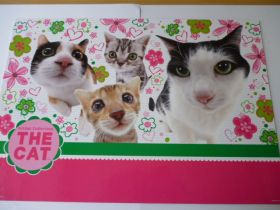 Alátét (több féle)