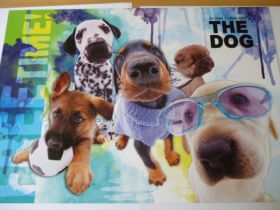 Alátét (több féle)