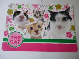 Konyhai alátét(több féle)